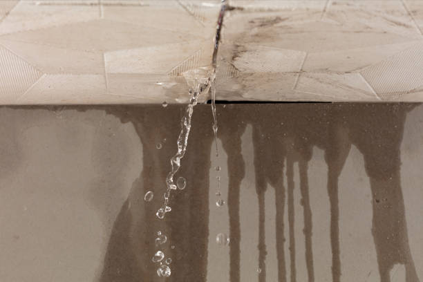Professional Burst Pipe Cleanup technician working in Geraldine, AL